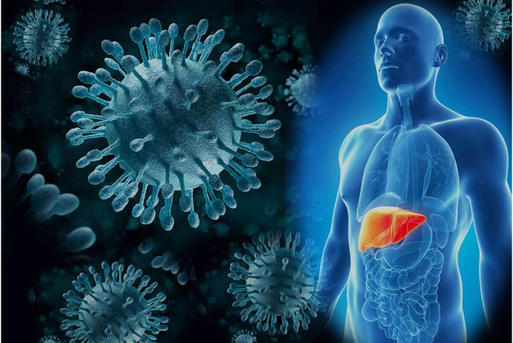 Часто гепатит В никак не проявляет себя, только точная диагностика выявит опасное заболевание